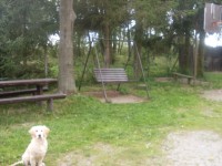 /album/fotogaleria/sdc11708-jpg/